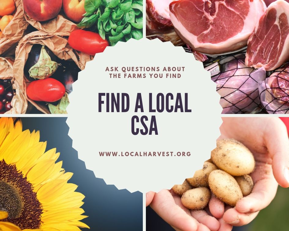 produce with text "find a local csa"